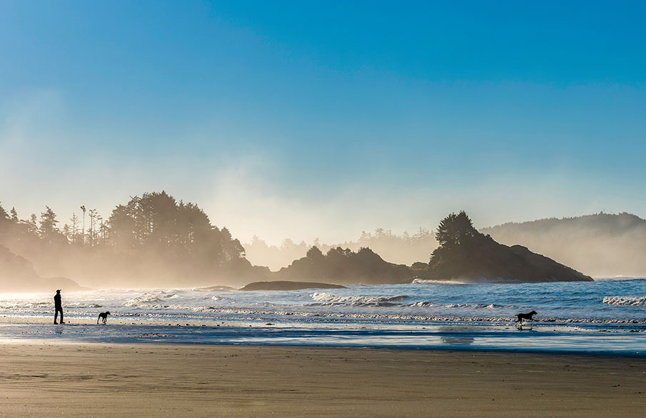 La silhouette d’un homme et de ses chiens marchant sur la plage à Tofino. 