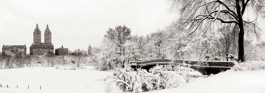 Central Park à New York en hiver