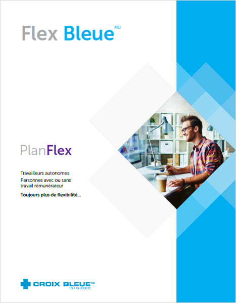Flex Bleue - Plan Flex
