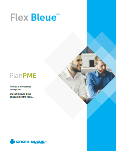 Flex Bleue - Plan PME